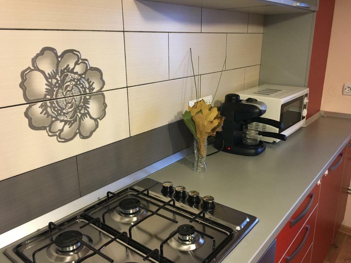 Ferienwohnung Apartament Antonia Tîrgu Ocna Exterior foto